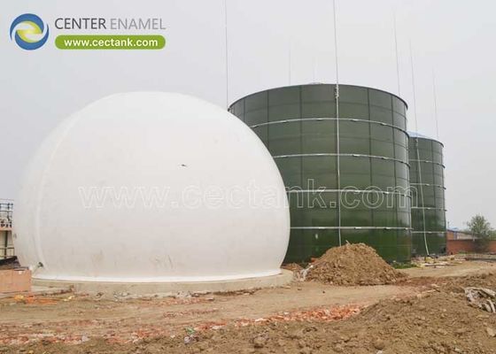 Anaerobic Digester Tank for Food Waste Biogas Digestion Plant