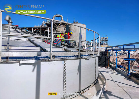 Stainless Steel Animal Waste Biogas Digester: Revolutionizing Sustainable Farming with Center Enamel Technology