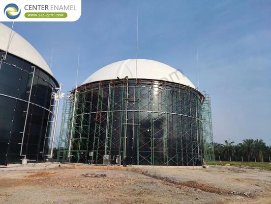 Restaurant Food Waste to Biogas in South Africa: CSTR Process and Biogas Project Contractor Solutions