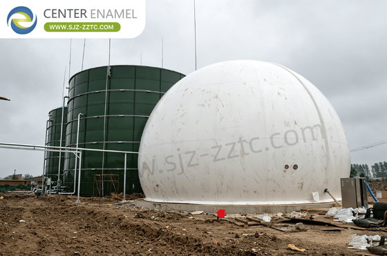 Professional Biogas Solution Provider for South Africa Silage Straw into Biogas